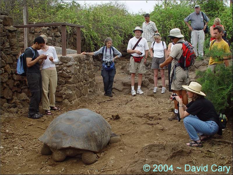 Ecuador & Galapagos Islands, June 2004 by David Cary DarwinCenter1 - Darwin Research Center