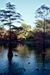 S_sp01_159.jpg