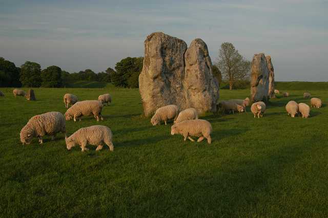 Even the sheep<br>greeted me!