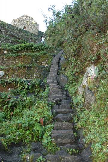 Stairway or Ladder?