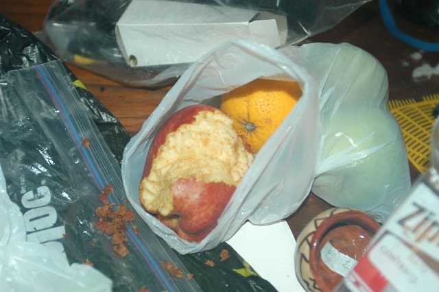 Midnight snack for<br>an uninvited guest