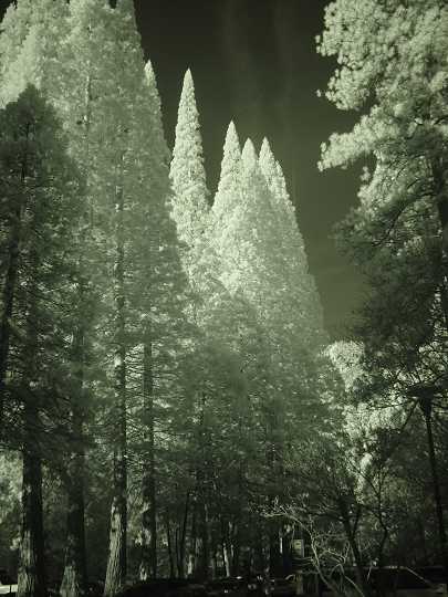 Wednesday morning<br> the Sun comes out.<br>B&W Infrared