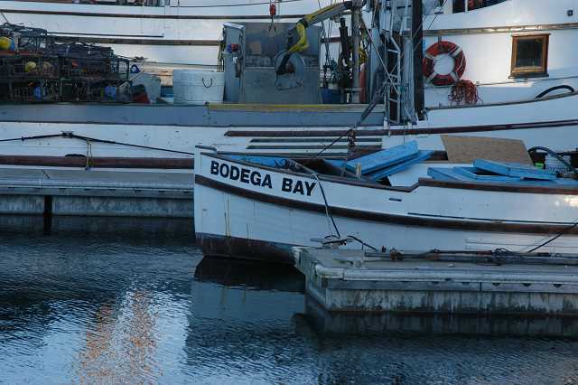 To<a href=http://www.bodegabay.com/> Bodega Bay</a><br>for Saturday's Dinner