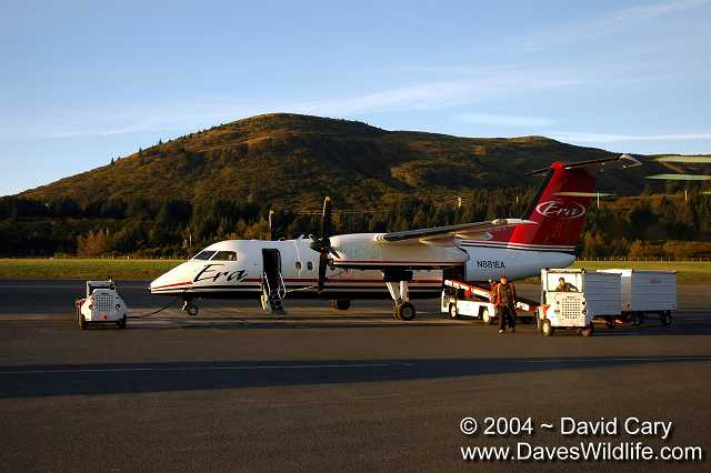 Katmai, Dave Cary Photo - Arrival - 