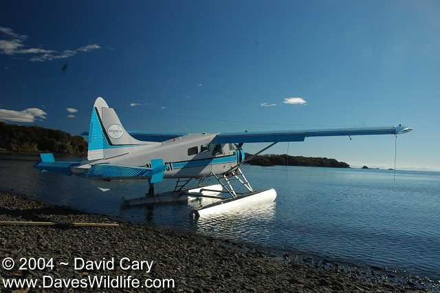 Katmai, Dave Cary Photo - Leaving - 