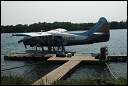 Bears © 2004 Dave Cary Katmai Air from King Salmon to Brooks Camp