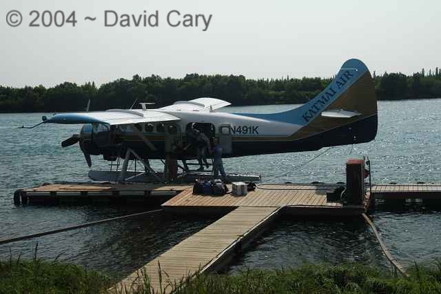 Bears  2004 ~ David Cary. Katmai Air from King Salmon to Brooks Camp.