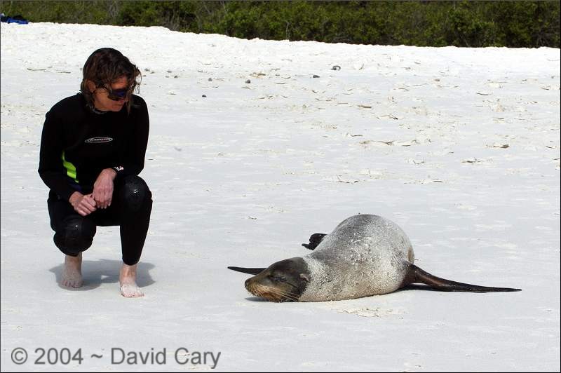 Ecuador & Galapagos Islands, June 2004 by David Cary Galapagos2 - 