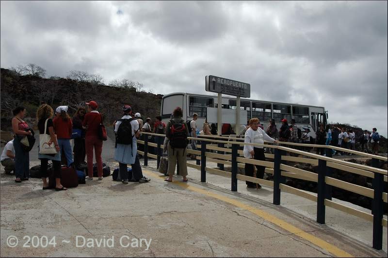 Ecuador & Galapagos Islands, June 2004 by David Cary SantaCruiz2 - The Cruise is over, back to Santa Cruz Island for 3 days