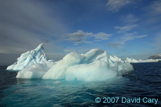 D20_2741