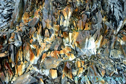 D20_3404s