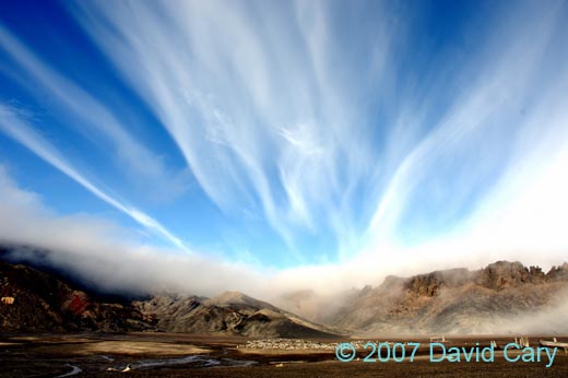 D2X_2046s