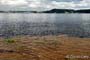 DSC_1587