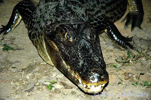 DSC_8488