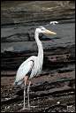 [Click to enlarge]
