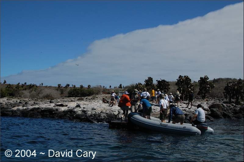 First Landing, South Plaza Island